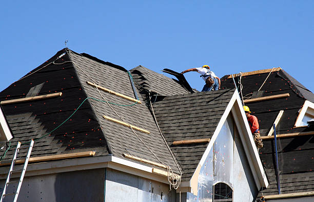 Best Roof Gutter Cleaning  in Centreville, MS