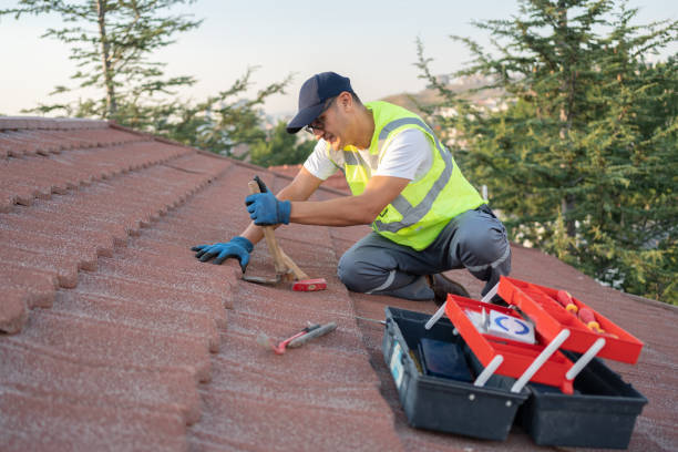 Best Metal Roofing Contractor  in Centreville, MS